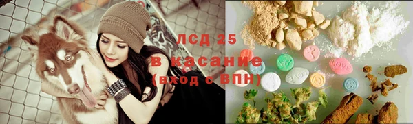 сатива Абдулино