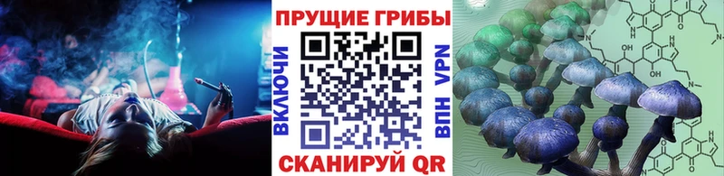 Псилоцибиновые грибы мухоморы Ак-Довурак