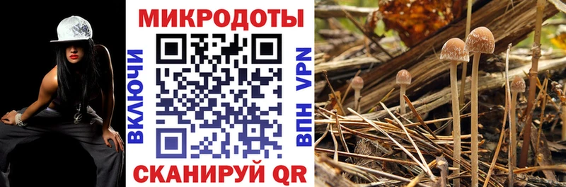 Псилоцибиновые грибы Psilocybe  купить  сайты  OMG ССЫЛКА  Ак-Довурак 